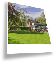 Cut Grass