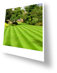 Lawn with Stripes