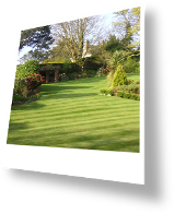 Garden with Cut Grass